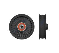 NTY Rodillo De Correa Para Mercedes-Benz Clase M W163 ML 270 CDI