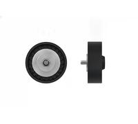 Rodillo tensor de la correa trapezoidal RNK-BM-065 NTY para BMW X5