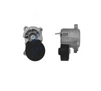 NTY Tensora Correa Trapezoidal para Peugeot 206Cc 2D 2.0 S16 307 3B 3H Citroën