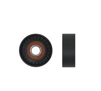 Rodillo tensor de la correa trapezoidal RNK-FR-005 NTY para FORD MONDEO III