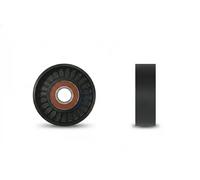 Rodillo tensor de la correa trapezoidal RNK-LR-010 NTY para VOLVO LAND ROVER