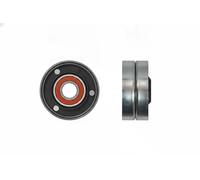 Rodillo tensor de la correa trapezoidal RNK-LR-015 NTY para LAND ROVER