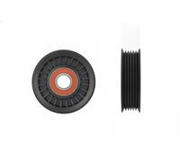 Rodillo tensor de la correa trapezoidal RNK-PL-041 NTY