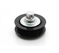 JAPANPARTS RP-214 Polea inversión / guía, correa poli V