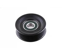 Japanparts RP-325 Polea de desvío/transmisión, correa trapezoidal con nervios MA