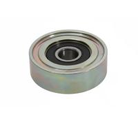 JAPANPARTS RP-919 Polea inversión / guía, correa poli V