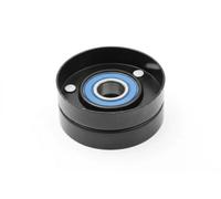 Rodillo tensor de la correa trapezoidal RP-L00 JAPANPARTS para JEEP CHRYSLER