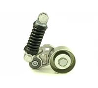 Rodillo tensor de la correa trapezoidal T1009 HUTCHINSON para CITROËN PEUGEOT