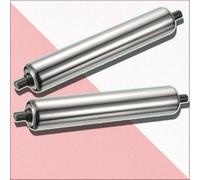 Rodillo transportador de acero inoxidable， 2 rodillos de repuesto for transportador de acero inoxidable, rodillo deslizante comercial sin motor de fábrica(Dia 60mm(2.4"),L 250 mm(9.8"))