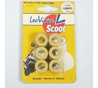 Rodillo variador Leovince para Hyosung 50 SF 2000 a 2006 17x12 3.0Grs Scooter Nuevo