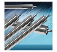 Rodillos de repuesto para cintas transportadoras Heavy Duty Stainless Steel Powerless Replacement Conveyor Rollers 5 Pack Multiple Sizes(Dia 60mm,L 700MM)