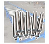 Rodillos transportadores de Acero Inoxidable de Alta Resistencia - Juego de 10, de 24 a 36 Pulgadas, Ideales for Aplicaciones industriales y de Bricolaje.(L700MMxDia25MM)