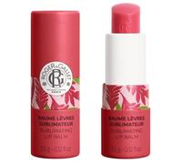 GINGEMBRE ROUGE bálsamo labial sublimador 3,5 gr