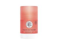 Fleur de Figuier - Desodorante Stick- 50 g