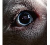 Roger Waters - The Dark Side Of The Moon Redux [Vinilo]