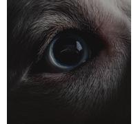 Roger Waters - The Dark Side Of The Moon Redux