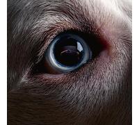 Roger Waters - The Dark Side Of The Moon Redux [Vinilo]