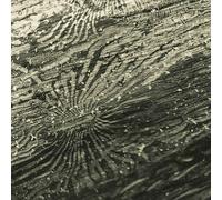 Rogiński, Raphael - Tal à n [Vinyl LP] [VINYL] [Vinilo]