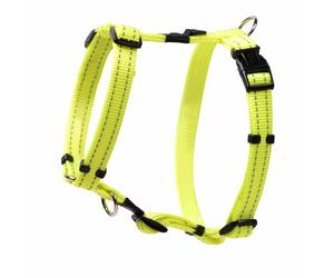 ROGZ ARNES CLASSIC S SJ14-H