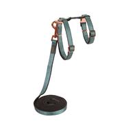 ROGZ ARNES+CORREA URBANCAT CLJ271-TM