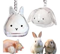 Roioiow Llavero de recuerdo de piel de mascota de 2 piezas, dije transparente en forma de conejo para gatos y perros, colgante de cápsula de memoria, regalo conmemorativo de pérdida de mascotas y