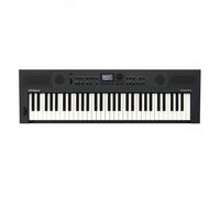 Roland GO:KEYS 5 GT