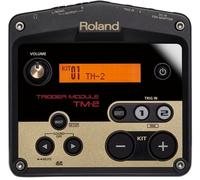 Roland TM-2 Módulo