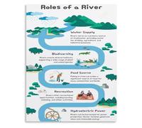 Role of River Types Ecosystems Science Education Poster