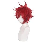 Role Play Wig For Anime SK8 the Infinity Wig Short Red Hair Cosplay Wig