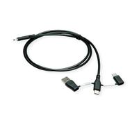 ROLINE Cable USB 2.0 tipo C, ST/ST, con adaptadores de bloqueo de datos tipo C, 1 m