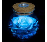 roliys Rosas reales preservadas con botella de deseos de luz de estado de ánimo colorida, rosa eterna, flores nunca marchitas, Navidad, aniversario, San Valentín, día de la madre, un regalo para