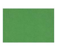 Rollei Fondo X-Drop 2,1 m verde