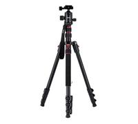 Rollei Viajero compacto nÂº 2