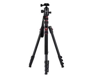 Rollei Viajero compacto nÂº 2