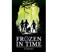 Rollercoaster: Frozen In Time