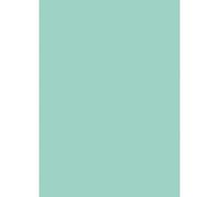 Rollo adhesivo (200 x 45 cm, Mint, Autoadhesivo)