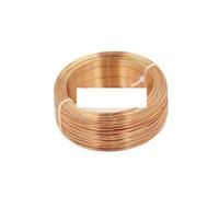 Rollo de 100 m de alambre de aluminio de color de 1 mm de diámetro for manualidades, accesorios y materiales de modelado.(Copper)