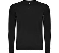 ROLY Sudadera Annapurna Hombre sin Capucha 100% Algodón gramaje 260 g/m² (FR/ES, Letras, S, Regular, Regular, Negro 02)