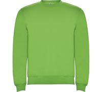 ROLY Sudadera Clásica 1070 Hombre Sin Capucha Gramaje: 280 g/m² (FR/ES, Letras, L, Regular, Regular, Verde Oasis 114)