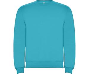 ROLY Sudadera Clásica 1070 Hombre Sin Capucha Gramaje: 280 g/m² (FR/ES, Letras, M, Regular, Regular, Turquesa 12)