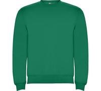 ROLY Sudadera Clásica 1070 Hombre Sin Capucha Gramaje: 280 g/m² (FR/ES, Letras, M, Regular, Regular, Verde Kelly 20)