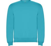 ROLY Sudadera Clásica 1070 Hombre Sin Capucha Gramaje: 280 g/m² (FR/ES, Letras, XXL, Regular, Regular, Turquesa 12)