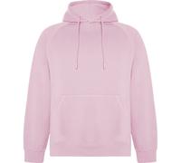 Roly Sudadera Vinson para Adultos Unisex (PF4316) UTPF4316_24
