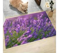 Romance Pastoral Felpudo Antideslizante - 50 x 80 cmCampos Lavanda Trampa de Tierra Felpudo Exterior e Interior para una Entrada Limpia - Fácil de Cuidar - Púrpura