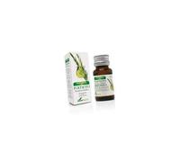 Romero Aceite Esencial 15Ml Soria