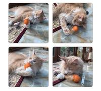 ROMISBABA 4 Balones de Juguete para Gatos con Tubo de Cuerda, Color Candy, con Plumas para Ejercicio y Diversión Interactiva Color Aleatorio
