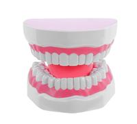 ROMISBABA Modelo de Enseñanza de Dientes Estándar para Adultos, 6 Veces Tamaño Grande, Modelo de Higiene Bucal de Plástico PVC Color Rosa para Práctica y Estudio Profesional