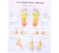 ROMISBABA Póster De Reflexología Podal 38x30x40 Cm, Arte Mural Informativo Para Decoración Del Hogar y Oficina, Tabla De Masajes Profesional De Anatomía Del Pie Resistente a Manchas