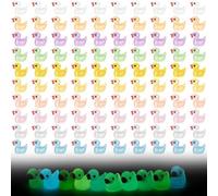 Romon 100 Piezas Mini Patos De Resina,Mini Patos Luminosos,Micro Paisaje,Paisaje Decorativo DIY,Decoracion del Hogar,Decoracion del Acuario,10 Colores