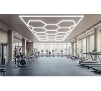 ROMOZ Luces hexagonales para Garaje con Marco Rectangular, Rejilla Hexagonal para Garaje, Taller, sótano, Taller de detallado de automóviles con Clip de Montaje 14 Grids